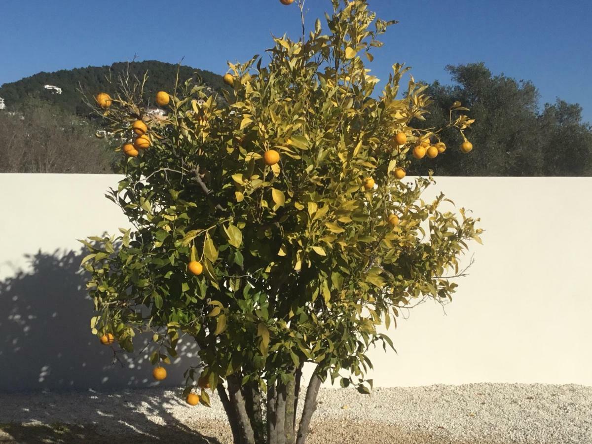 Casita In Javea With Garden And Pool - Dog Friendly! Экстерьер фото